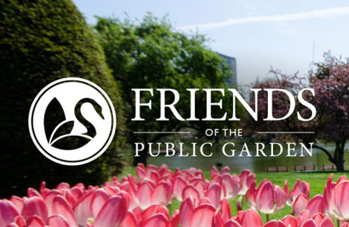 FPOG_header_500x326